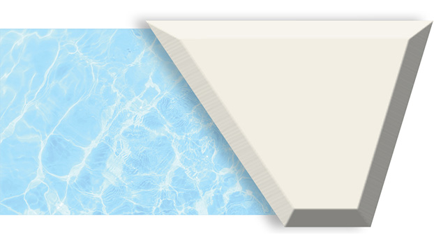 white-2022
